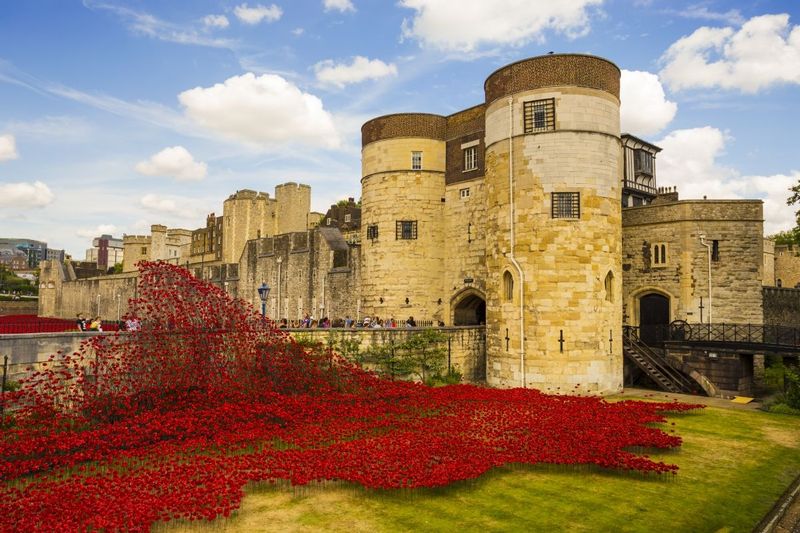 Poppies flow from the Tower_.jpg