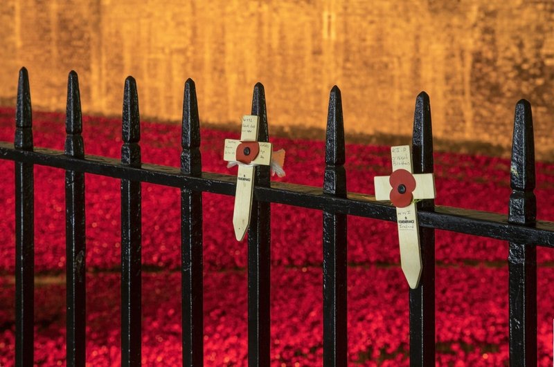 Remembrance Crosses_i.jpg