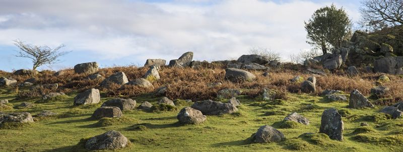 Rocky Moorland Outcrop - Dartmoor - Devon - England (Available as Panoramic 42 x 18 inch only).jpg