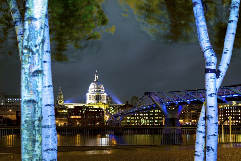 St Pauls through the trees_.jpg