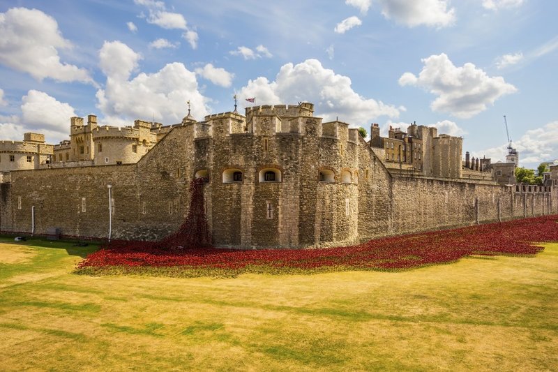 Tower Flowing Red.jpg