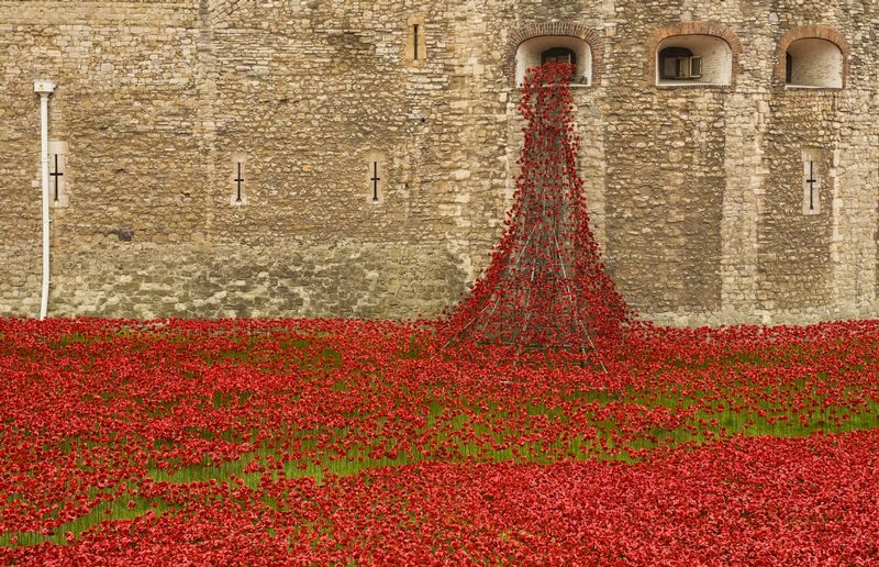 Tower Poppy Waterfall_.jpg