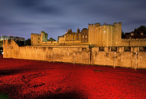 Poppies represent Rivers of Blood to commemorate the war dead of WWI - London.jpg