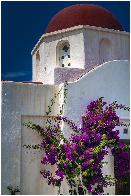 05GRMykonosFlowers_1851.jpg