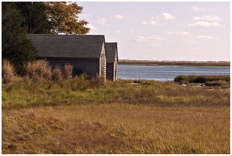 08CapeCod6586.jpg