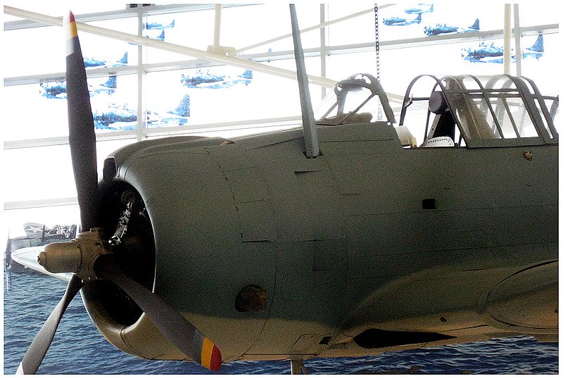 08Flying.Midway.5825.jpg :: Midway Airport, Chicago 2008