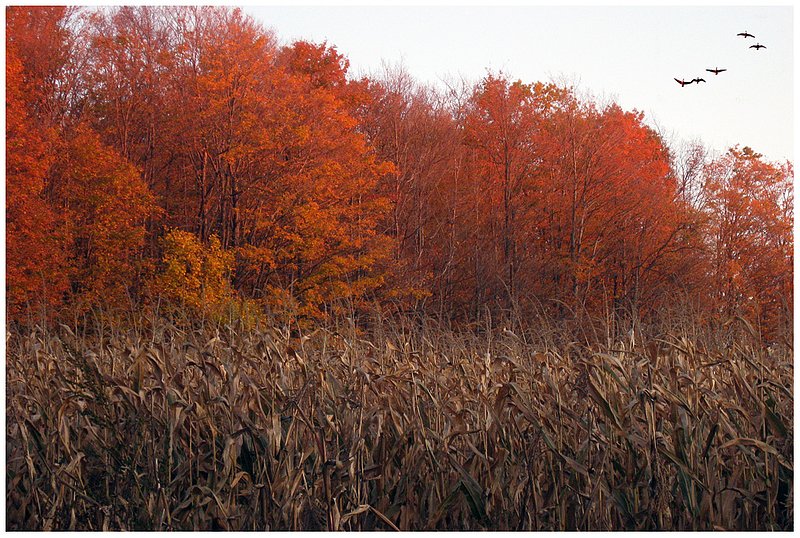 08NY.Upstate7157.jpg