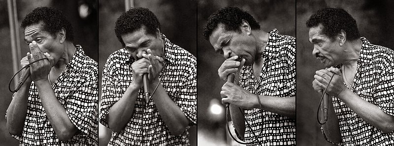 10CBF.BobbyRush_2828gq.jpg :: BOBBY RUSH, Chicago Blues Festival, June 13, 2010