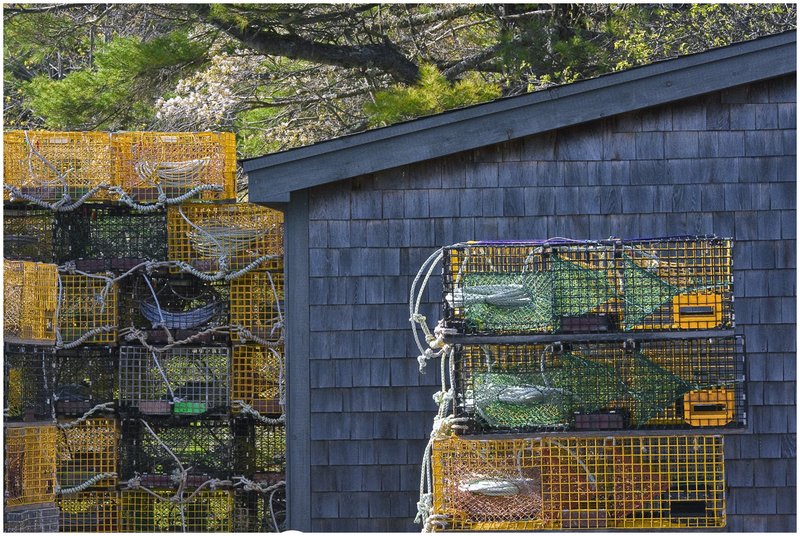 10ME.LobsterTraps_8175.jpg