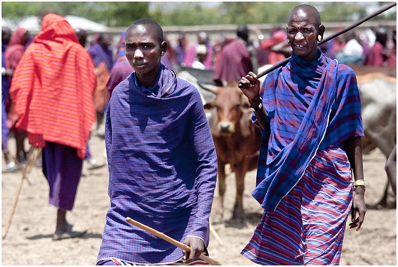 11Tanz.MaasaiCattleMarket_9315.jpg :: Maasai