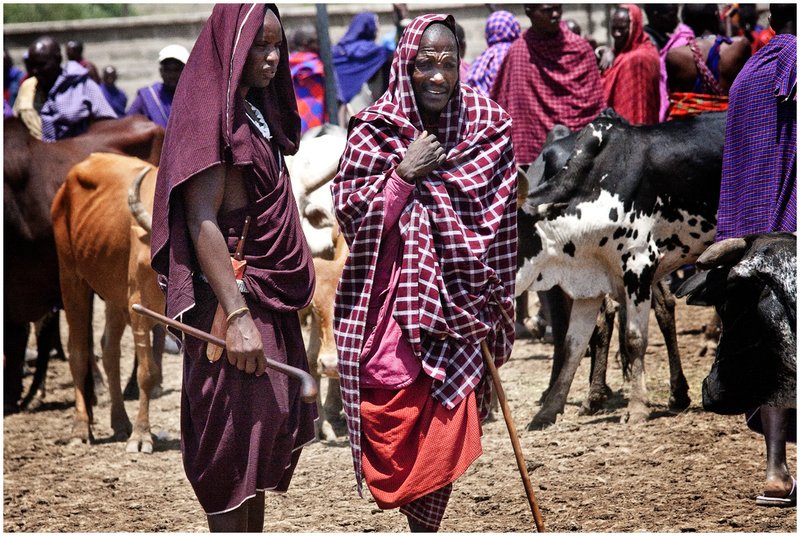 11Tanz.MaasaiCattleMarket_9319.jpg :: Maasai