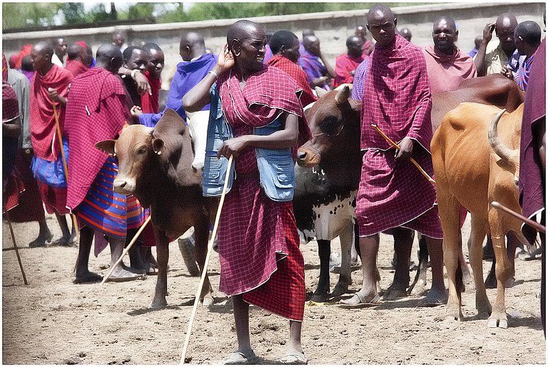 11Tanz.MaasaiCattleMarket_9321.jpg :: Maasai