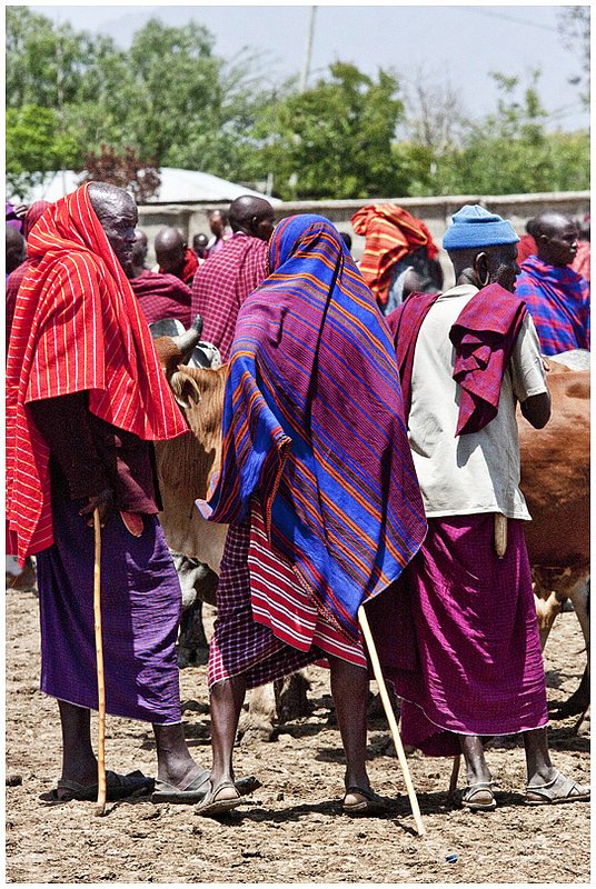 11Tanz.MaasaiCattleMarket_9322.jpg :: Maasai
