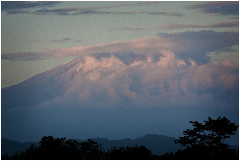 11Tanz.MtKilimanjaro_5209.jpg :: Mt. Kiliminjaro, Tanzania