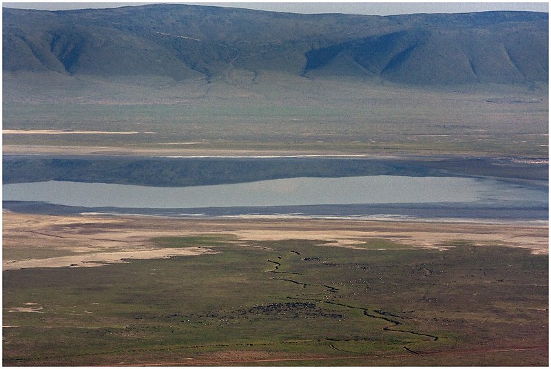 11Tanz.Ngor.Crater_3036.jpg :: Ngorongoro Crater Conservation Area
Tanzania