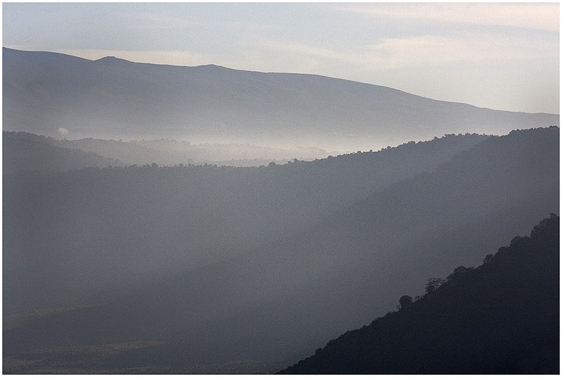 11Tanz.Ngor.Crater_3038.jpg :: Ngorongoro Crater Conservation Area
Tanzania
