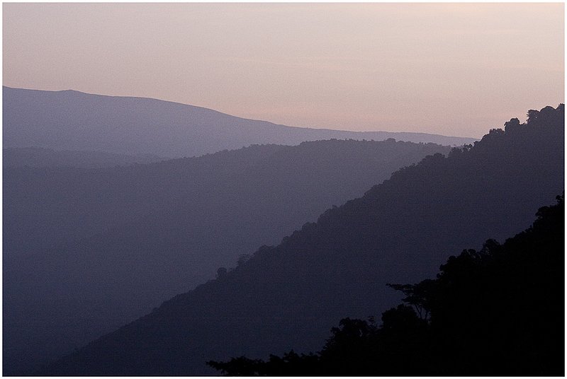 11Tanz.Ngor.Sunrise_9603.jpg :: Ngorongoro Crater Conservation Area
Tanzania