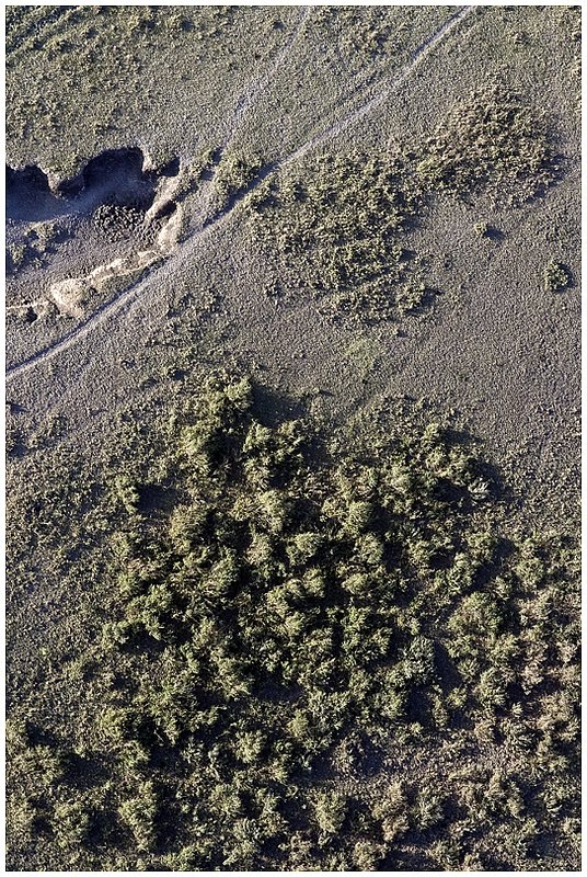 11Tanz.Seren.Balloon_3056.jpg :: Serengeti, Tanzania
