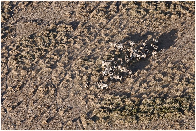 11Tanz.Seren.Balloon_3765.jpg :: Serengeti, Tanzania