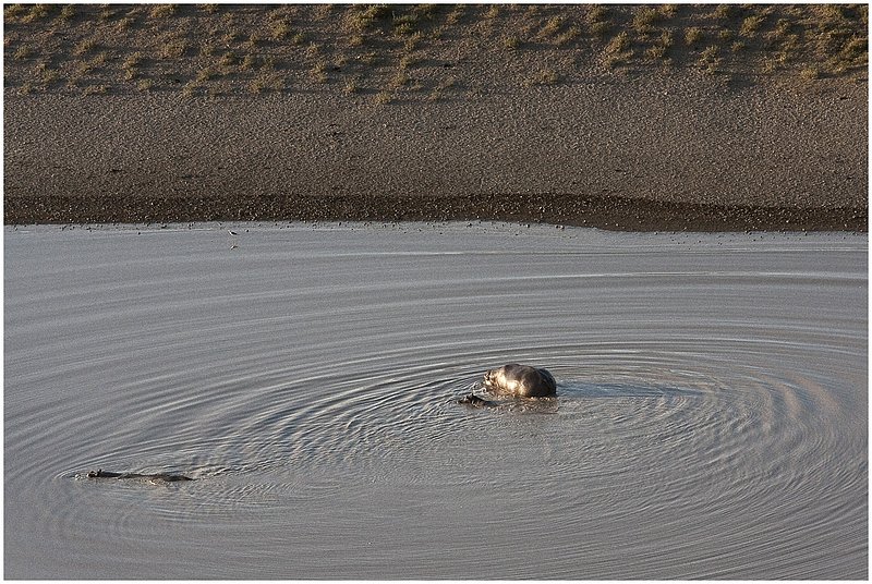 11Tanz.Seren.Balloon_3781.jpg :: Serengeti, Tanzania