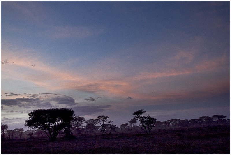 11Tanz.Seren.BalloonSunrise_3039.jpg :: Serengeti, Tanzania