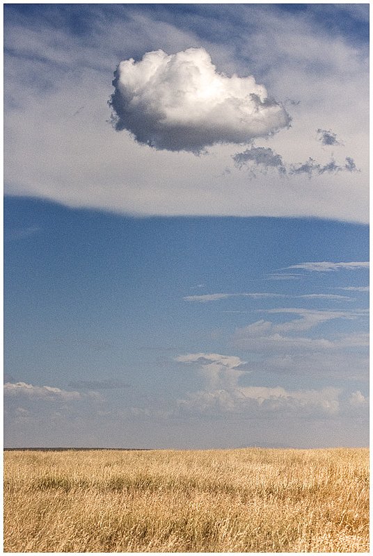 11Tanz.Seren.Cloud_4322.jpg :: Serengeti, Tanzania