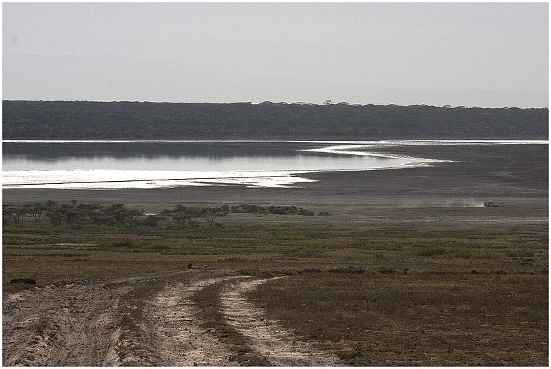 11Tanz.Seren.Lake_4893.jpg :: Serengeti, Tanzania