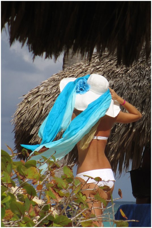 12DomRep.BigHat_0809.jpg