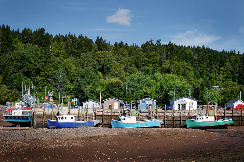 24CANNB-LowTide_0187.jpg :: St. Martins, New Brunswick, Canada 2024