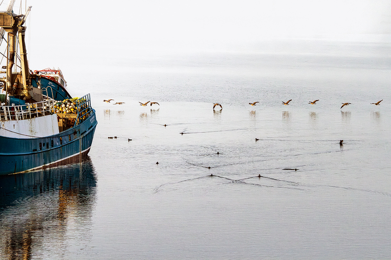 24CANNS-YarmouthHarbor_2555.jpg :: Yarmouth, Nova Scotia, Canada 2024
