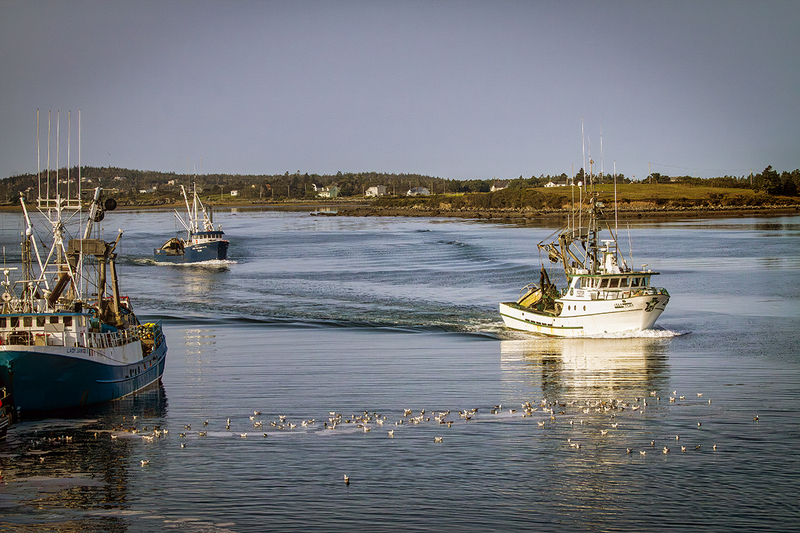 24CANNS-YarmouthHarbor_2582.jpg :: Yarmouth, Nova Scotia, Canada 2024