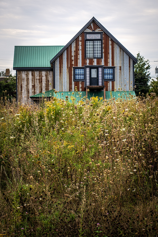 24CANPEI-GreenRoof_4143.jpg :: Prince Edward Island, Canada 2024