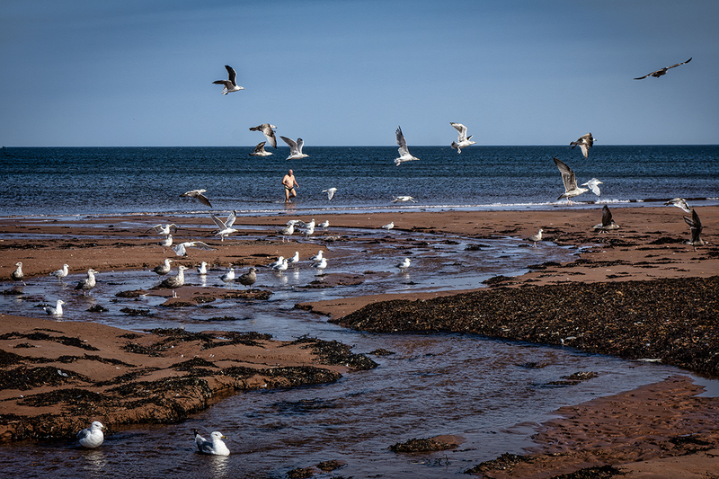 24CANPEIBeach_4101.jpg :: Prince Edward Island, Canada 2024