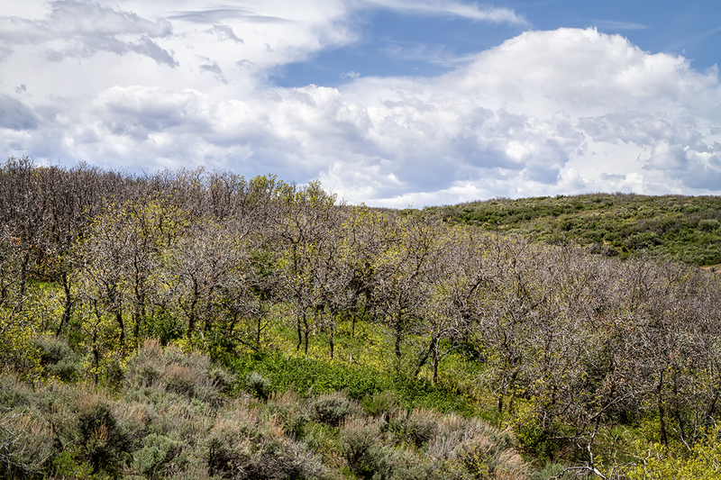 24COBlackCanyonGunnison_0101.jpg :: Black Canyon of the Gunnison, Colorado 2024