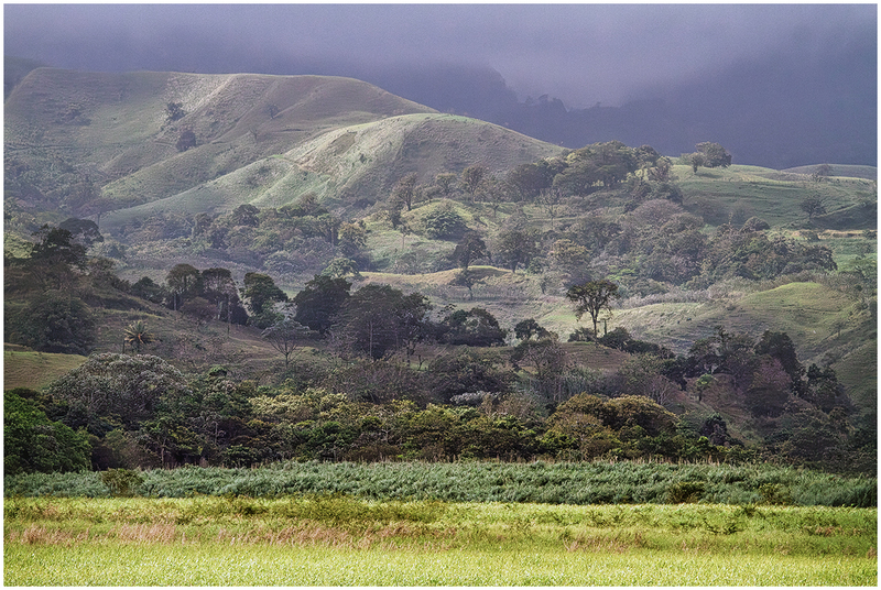 24CostaRicaLandscape_7216.jpg :: Rain forest, Costa Rica 2024