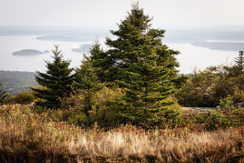 24MEAcadiaView_0568.jpg :: Acadia National Park, Maine 2024