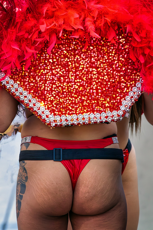 24NVLasVegas-RedButt_9038.jpg :: Las Vegas, Nevada 2024