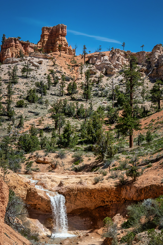 24UTBryce_8538.jpg :: Bryce National Park, Utah 2024
