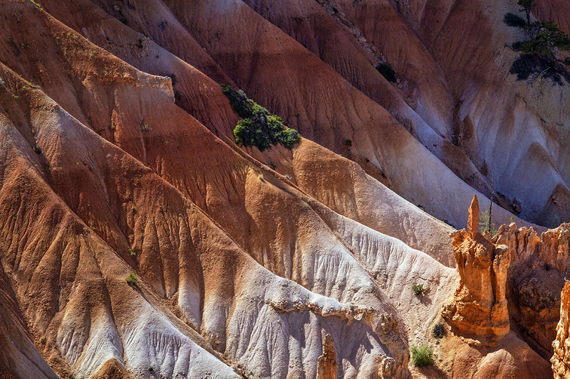 24UTBryce_9321.jpg :: Bryce National Park, Utah 2024
