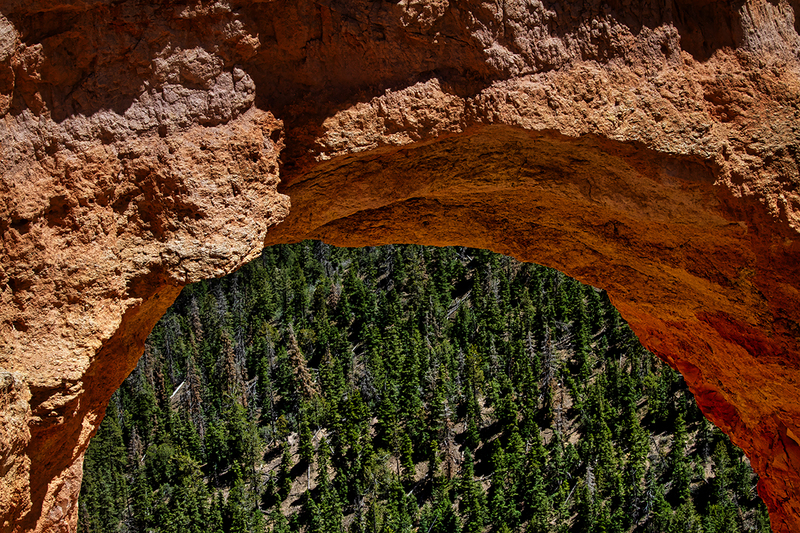 24UTBryceArch_9265.jpg :: Bryce National Park, Utah 2024
