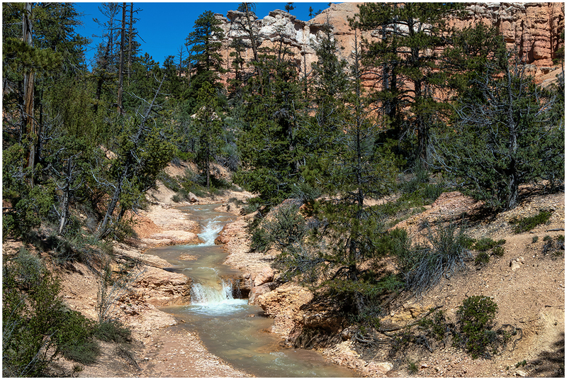 24UTBryceCreek_8534.jpg :: Bryce National Park, Utah 2024