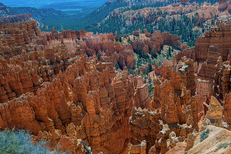 24UTBryceHoodoos_3151.jpg :: Bryce National Park, Utah 2024
