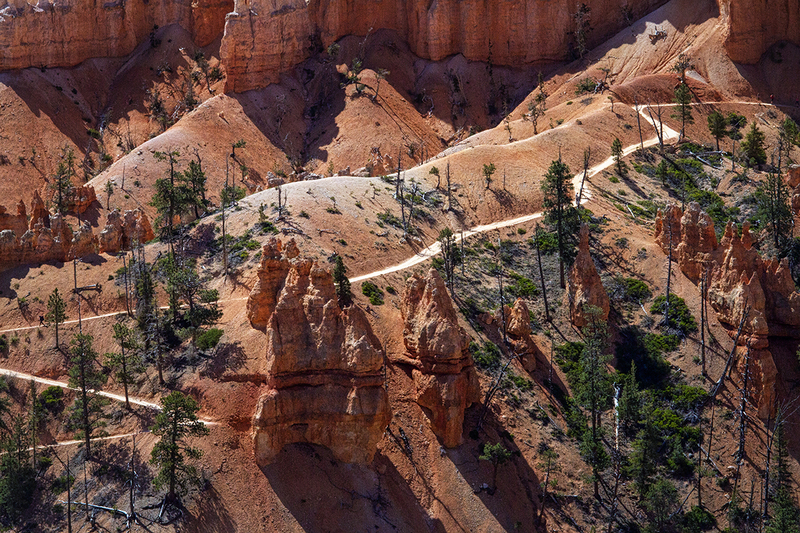 24UTBrycePath_9237.jpg :: Bryce National Park, Utah 2024