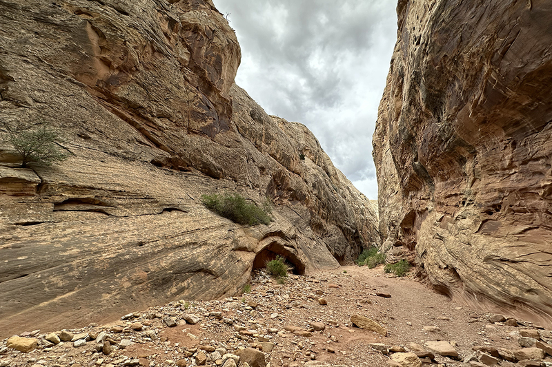 24UTCapitalReef_5818i.jpg :: Capital Reef, Utah 2024 (iPhone)