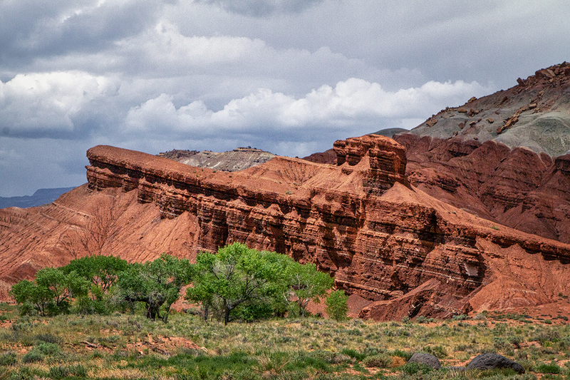 24UTCapitolReef_9452.jpg :: Capitol Reef National Park, Utah 2024