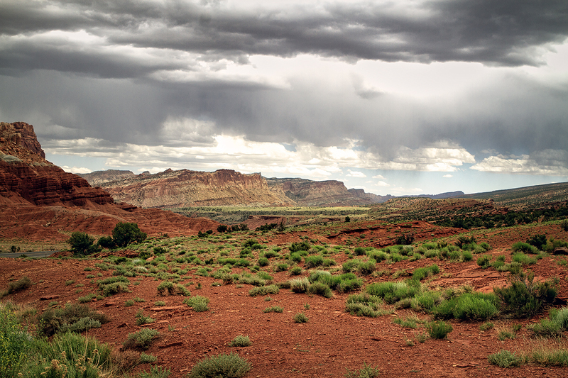 24UTCapitolReef_9487.jpg :: Capitol Reef National Park, Utah 2024