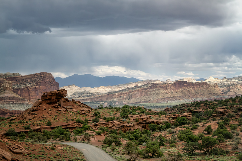 24UTCapitolReef_9498.jpg :: Capitol Reef National Park, Utah 2024