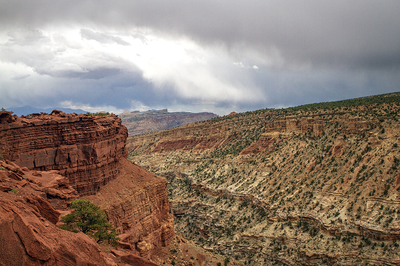 24UTCapitolReef_9524.jpg :: Capitol Reef National Park, Utah 2024