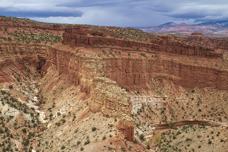 24UTCapitolReef_9526.jpg :: Capitol Reef National Park, Utah 2024