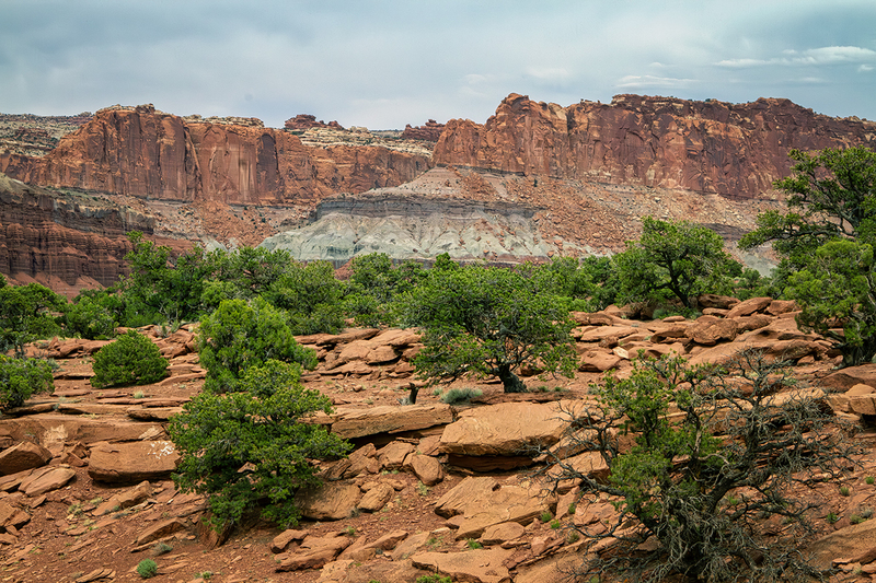 24UTCapitolReef_9532.jpg :: Capitol Reef National Park, Utah 2024